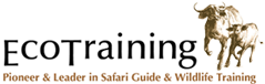 Ecotraining-web-logo