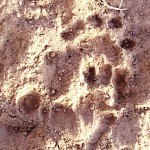 IMG-20160117-WA0027