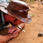 Learning about the small animals too