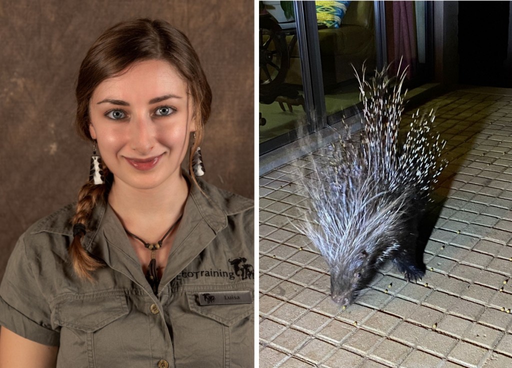 Luisa e l'Istrice